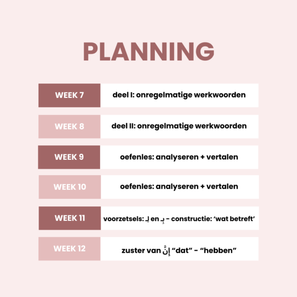 Cursus Arabisch: Niveau 2 - Afbeelding 3