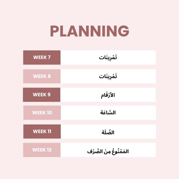 Cursus Arabisch: Niveau 3 - Afbeelding 3