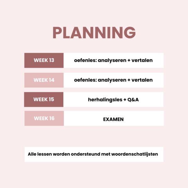 Cursus Arabisch: Niveau 2 - Afbeelding 4